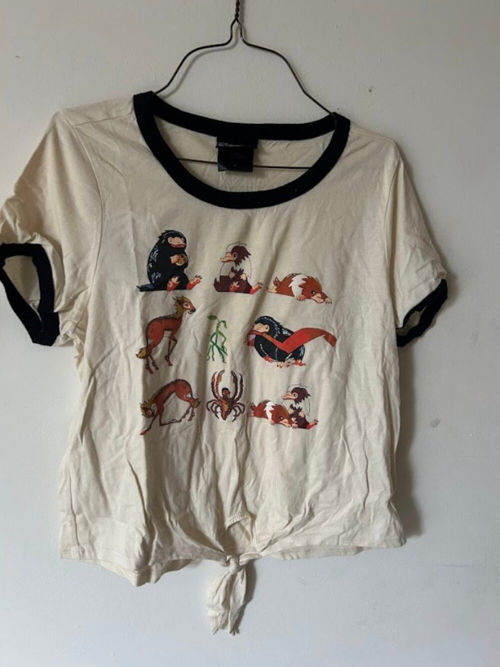 Harry Potter Shirt